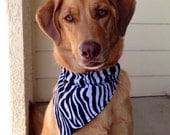 Zebra Styled Over-The-Collar Bandana