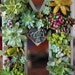 Succulent Monogrammed Planter Box As Seen In Southern Living Christmas at Home