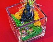 BUDDHA SAFFRON terrarium - feng shui terrarium, sand glass terrarium, home decor, special events centerpiece, mothers day gifts