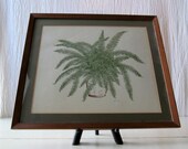 1970s Ebb Pate Signed Botanical Print - Boston Fern