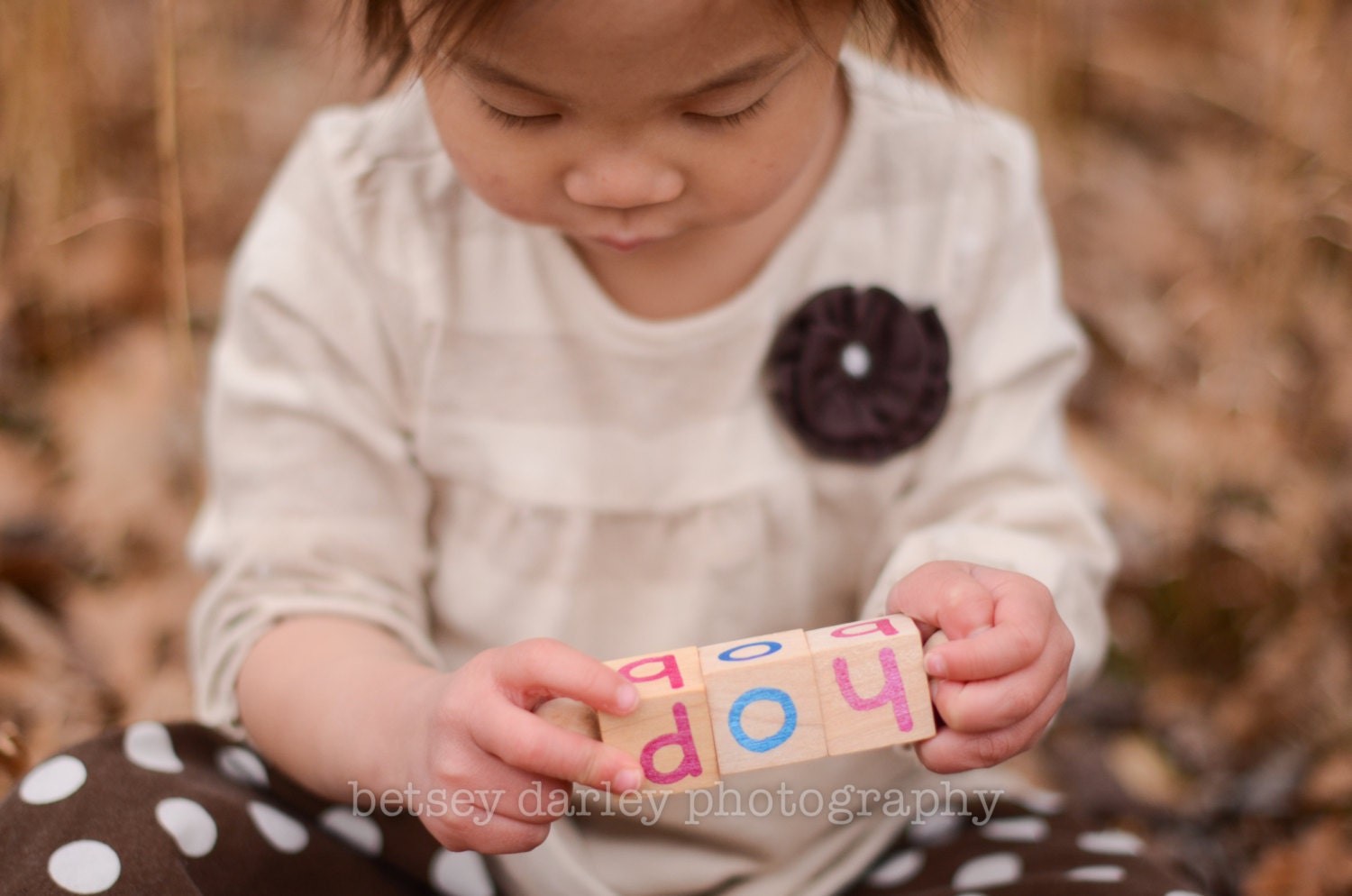 Montessori Silent E Reading Blocks, Educational Toy, Beginning Reader Tools, First Grade
