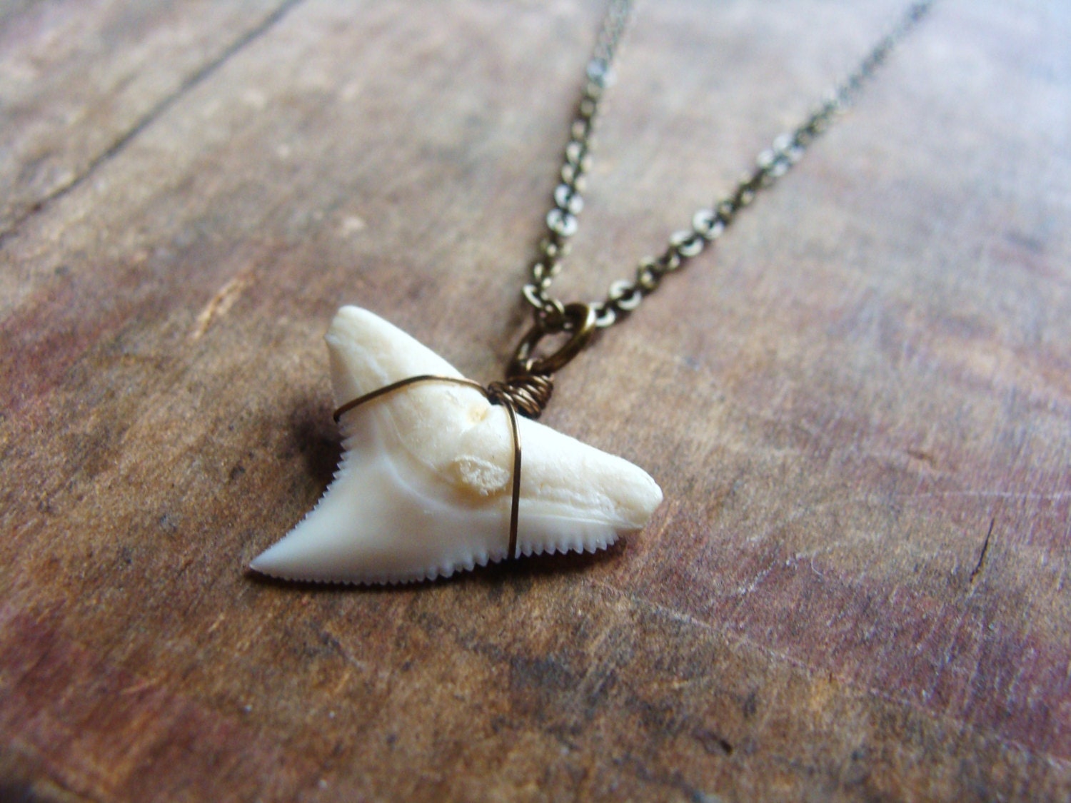 Shark Tooth Necklace, Modern Day Shark Tooth, Vintage Brass Chain