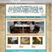 Need a Website, Professional Custom Website Design 5 Pages.
