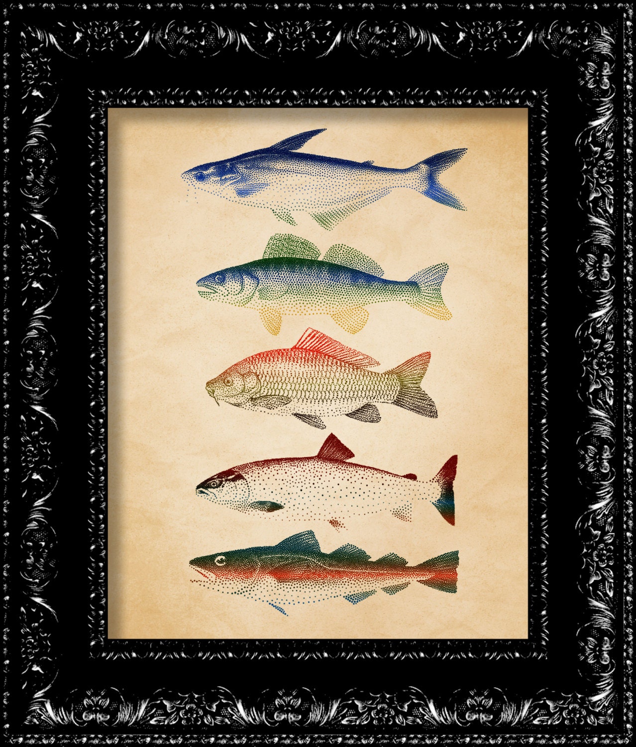 Rainbow Fish Giclee Print - Vintage Retro Inspired - Modern Design - Collage Art Print -  8x10 Art Print Poster
