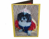 Shih Tzu Blank Card, Snow White Card, Dog Photo Card