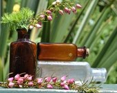 Antique Glass Bottles, Vintage Prescription, Vase, vintage home decor, bud vases, cottage chic, photo props, room diffusers, collectible