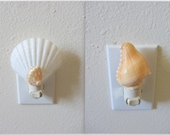 Beach Decor - Two Shell Night Lights - Conch and Scallop Shell Night Lights