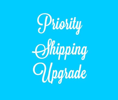 Priority mail upgrade- upgrade to priority shipping-2-3 days shipping Il_170x135