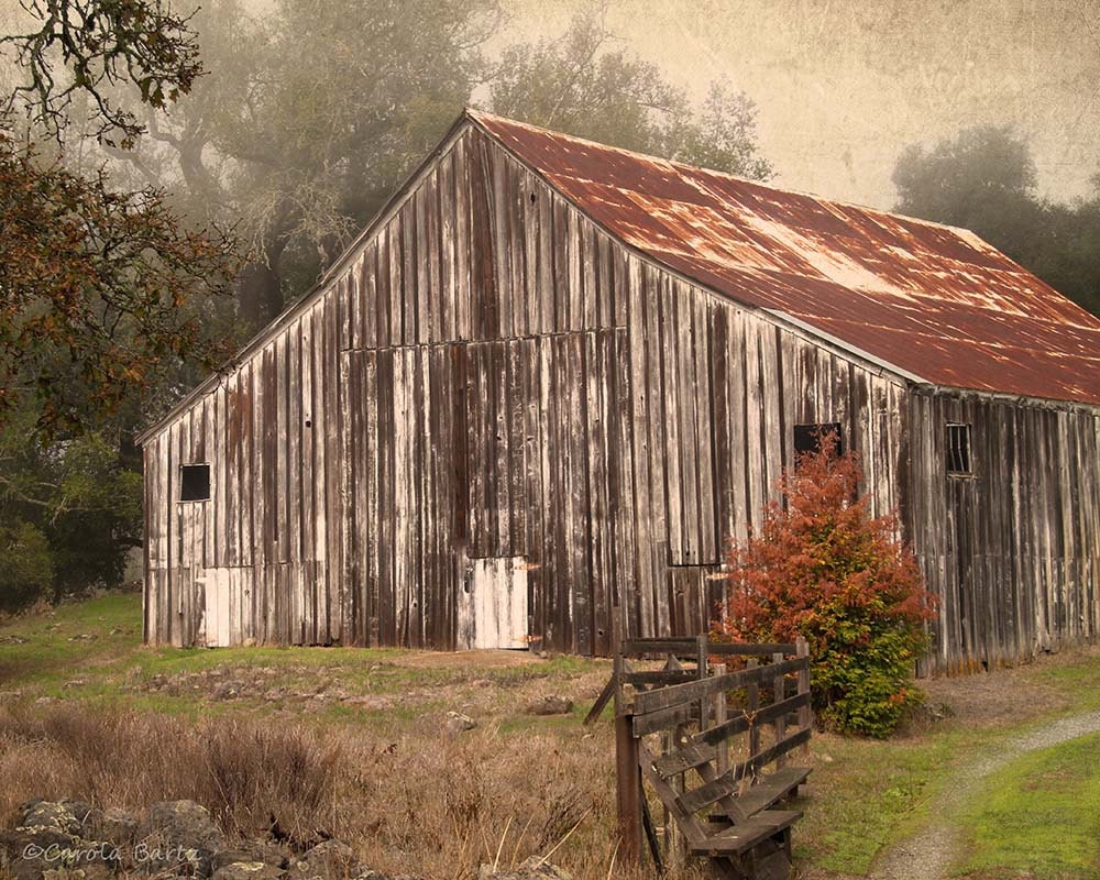 Old Barn Photograph 8x10 Fine Art Print