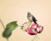 8x10 Bird Photograph, Hummingbird Wall Art, Nature Nursery Decor, Shabby Chic Flower Print, Pastel Pink Floral Photo