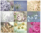 Shabby Chic Photography Set, Flower Photographs, Pastel Home Decor, Set of Nine Nature Photos, Baby Girl Nursery Art,  Pink Blue Purple