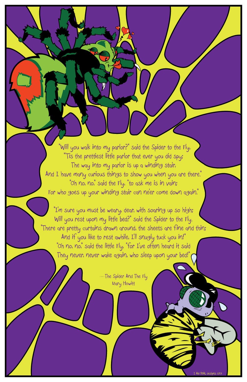 The Spider & The Fly