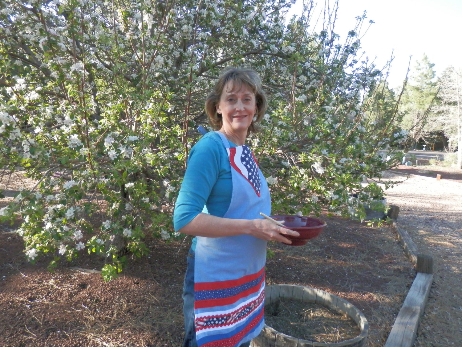 Patriotic U.S.A Women's Apron