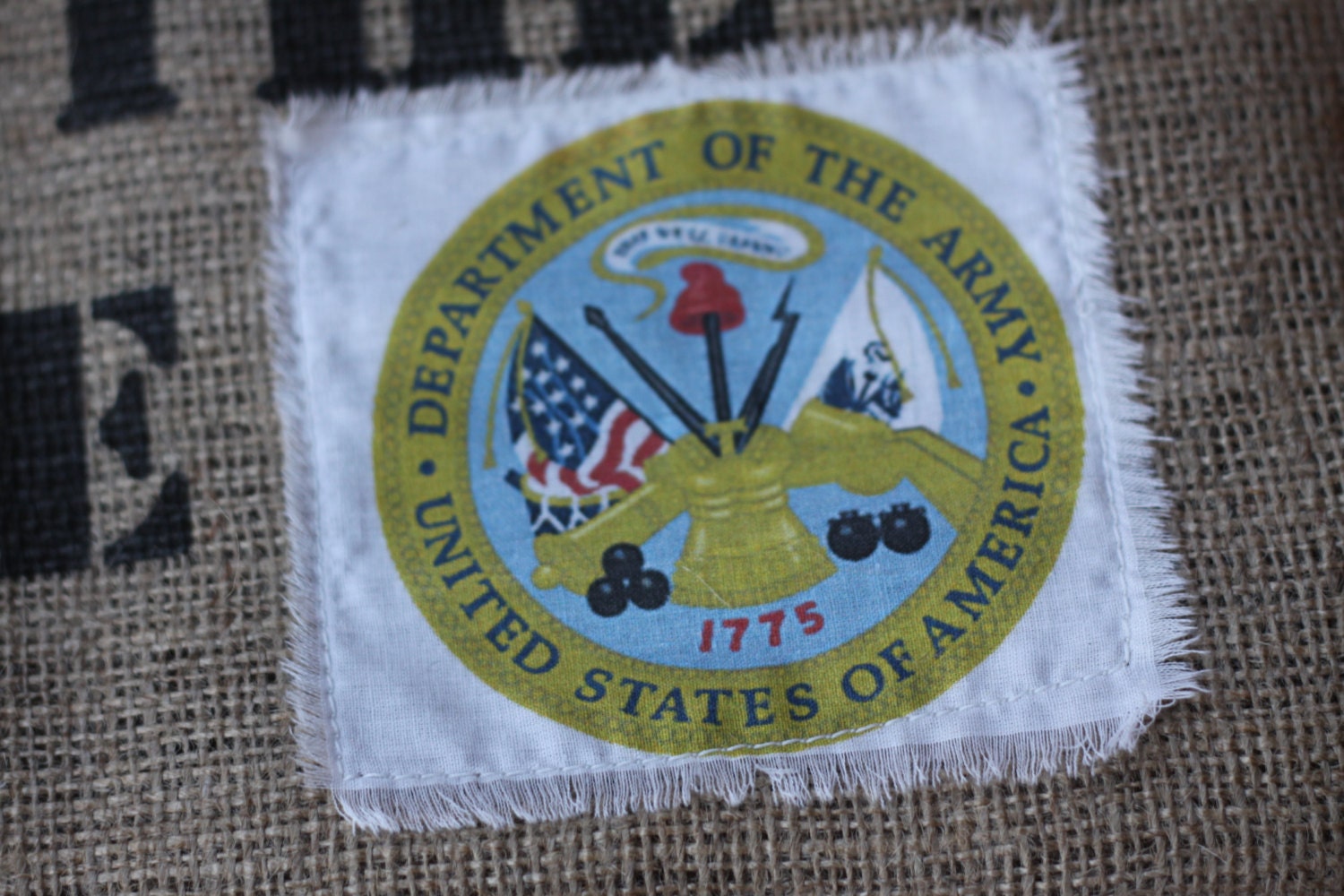 Land of the Free ARMY emblem Pillow Cover in BLUE