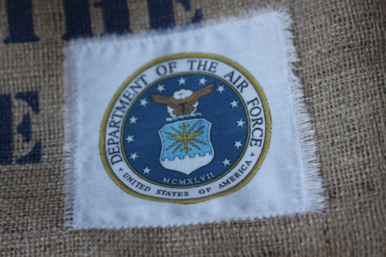Land of the Free AIR FORCE emblem Pillow Cover in BLUE