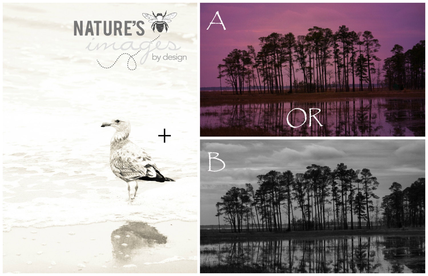 Cambridge Image Set, Home Decor. Cambridge Collection,  Nature Photography,  Landscape Photography, Maryland, Matted 4x6 to 5x7