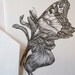 Fine Art Blank Greeting Cards Stationery Black and White Blank Note Cards Butterfly Iris Art Print Stationary Pencil Drawings
