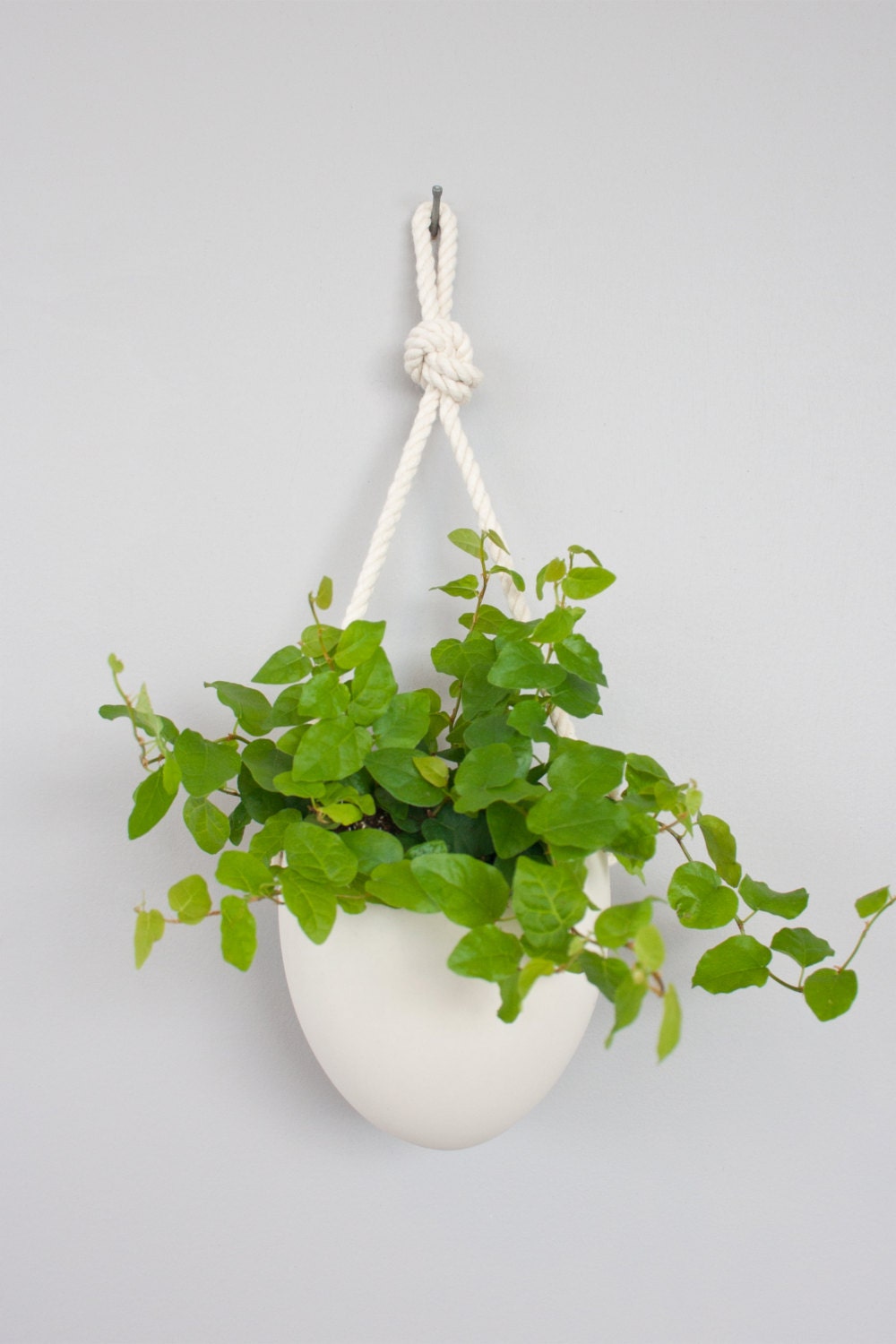 porcelain and cotton rope hanging planter