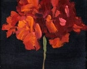 Red Flower on Black, Still Life Painting, Original Oil on Wood Panel, 8x8 inch, Fine Art