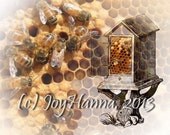 Honey Bees and Vintage Beehive - INSTANT DOWNLOAD JPEG File - Printable Art - Original Photograph and Vintage Graphic