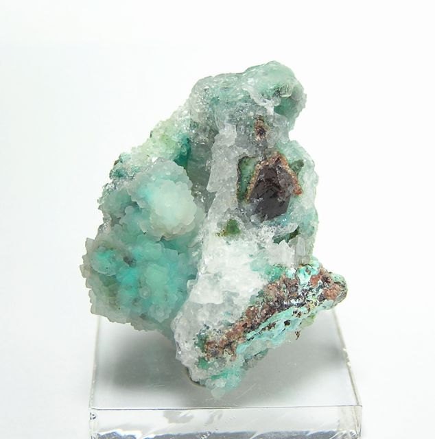 Calcite and Druzy Chalcedony covering Rare Rosasite and Malachite Mexican Mineral Specimen