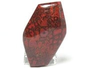 Dinosaur Red Fossil Bone Designer Cabochon 40 carats Red Agate Fossil