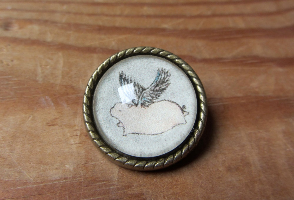 Flying Pig illustrated cameo brooch