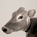 Cow Portrait photo, farm photo, Animal photo, Nature photography - Portrait of a Cow - 8x8 fine art photograph