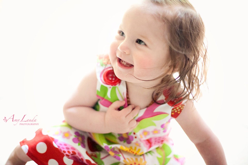 Strawberry Serenade Bright Birds Butterfly Heart - Aline Toddler Dress - Infant Dress - Birthday Dress - Handmade Girls Dress - 3M to 4T