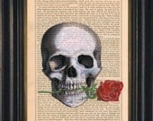 Skull with Red Rose Mixed media with Acrylic Painting  on 1860's Antique Page
