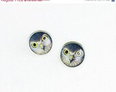 ON SALE Owl Earrings, Bird Earrings, Stud Earrings, Silver Brass Earrings, Resin Earrings, FREE shipping