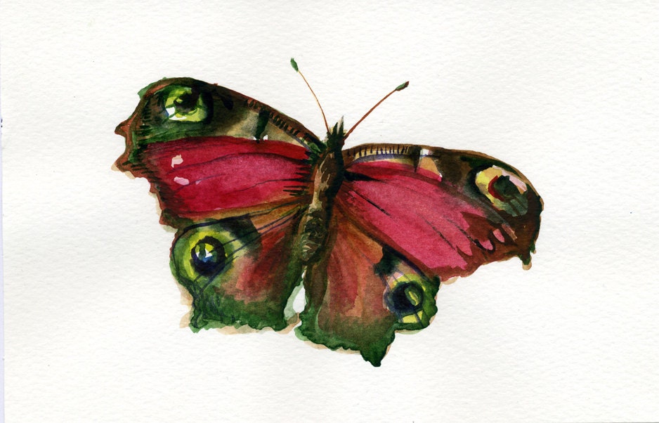 Original Illustration Butterfly, watercolor illustration, home decor gift, children room gift, gift for her, original art gift