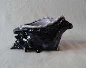 SOLD Taking custom Orders Conk Shell African Violet Pot