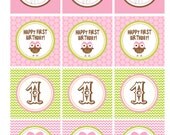 Hoot Owl Girl Birthday 2" Party Circles  or Cupcake Toppers