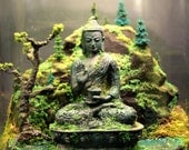 Ancient Buddha Zen Garden Terrarium - Moss and Bonsai Diorama