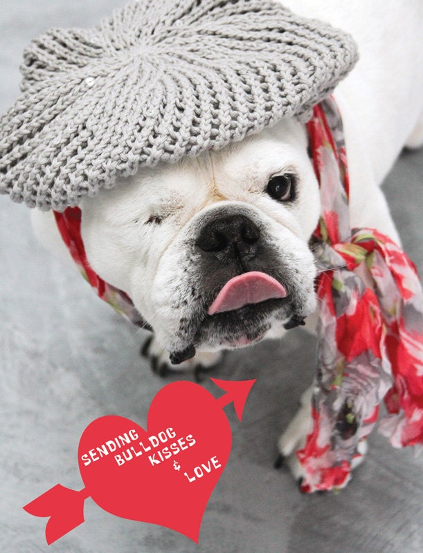 Postcards Sending Bulldog Kisses and Love - English Bulldog Love - Dog Photography - Dog Love - Piper the rescue dog - Set of 5