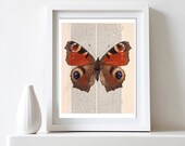 Printable Art Print  Vintage Butterfly  8x10 DIY  for home printing - Wall Decor