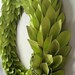 chartreuse modern wreath - lime painted newspaper - large 22 inch newspaper rosette and leaf