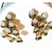 Spray of Lillies Bouquet  Earrings - Vintage Lucite Clips  E481a-041412000