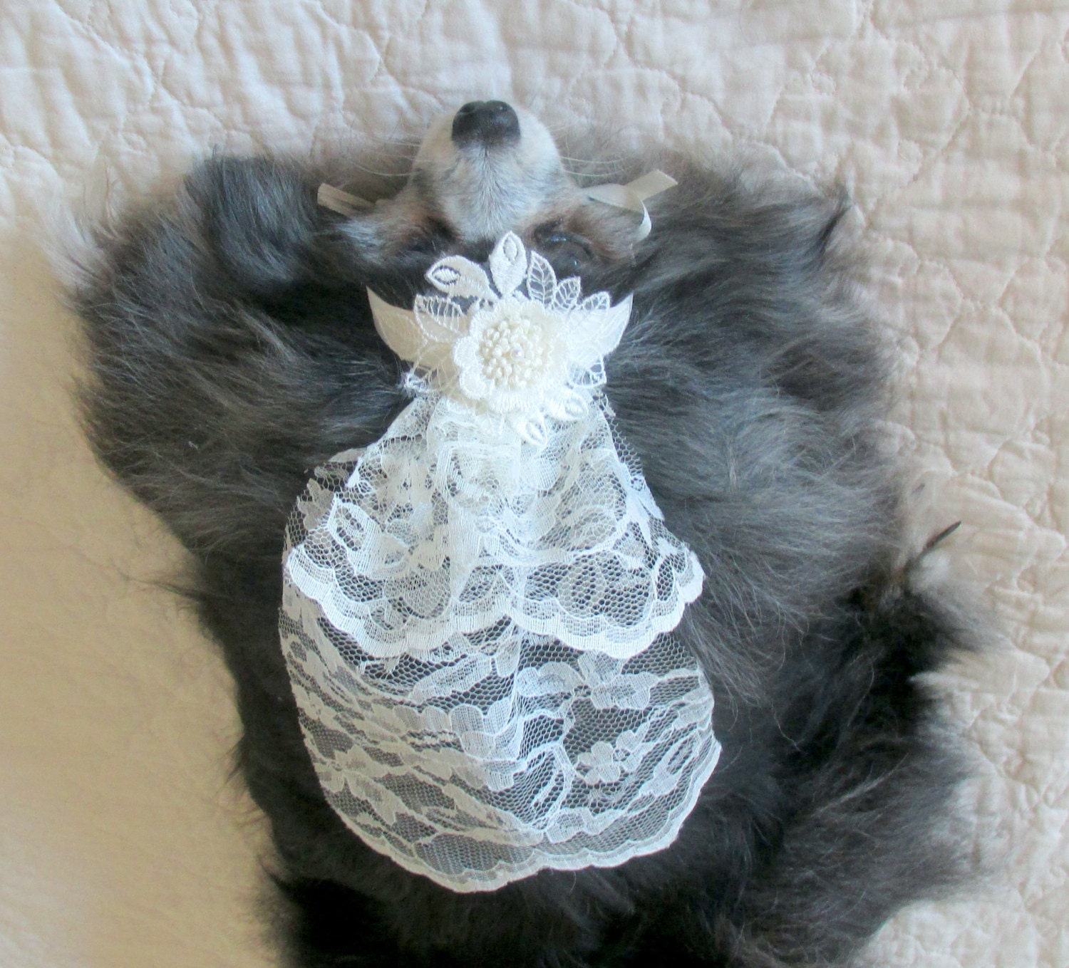 Pet Wedding Veil Made to Order for Small by BloomingtailsDogDuds