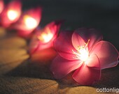 20 Pink strawberry shaded flower handmade string light indoor lantern hanging wedding party decoration