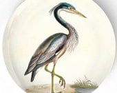 Heron  - 1800's bird artwork - on 10 inch Melamine Plate with a softly aged off-white background