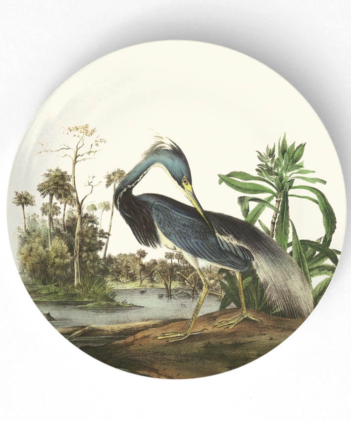 Heron, Tricolored, 1800's Audubon artwork - reproduced on 10 inch Melamine Plate with softly aged off-white background