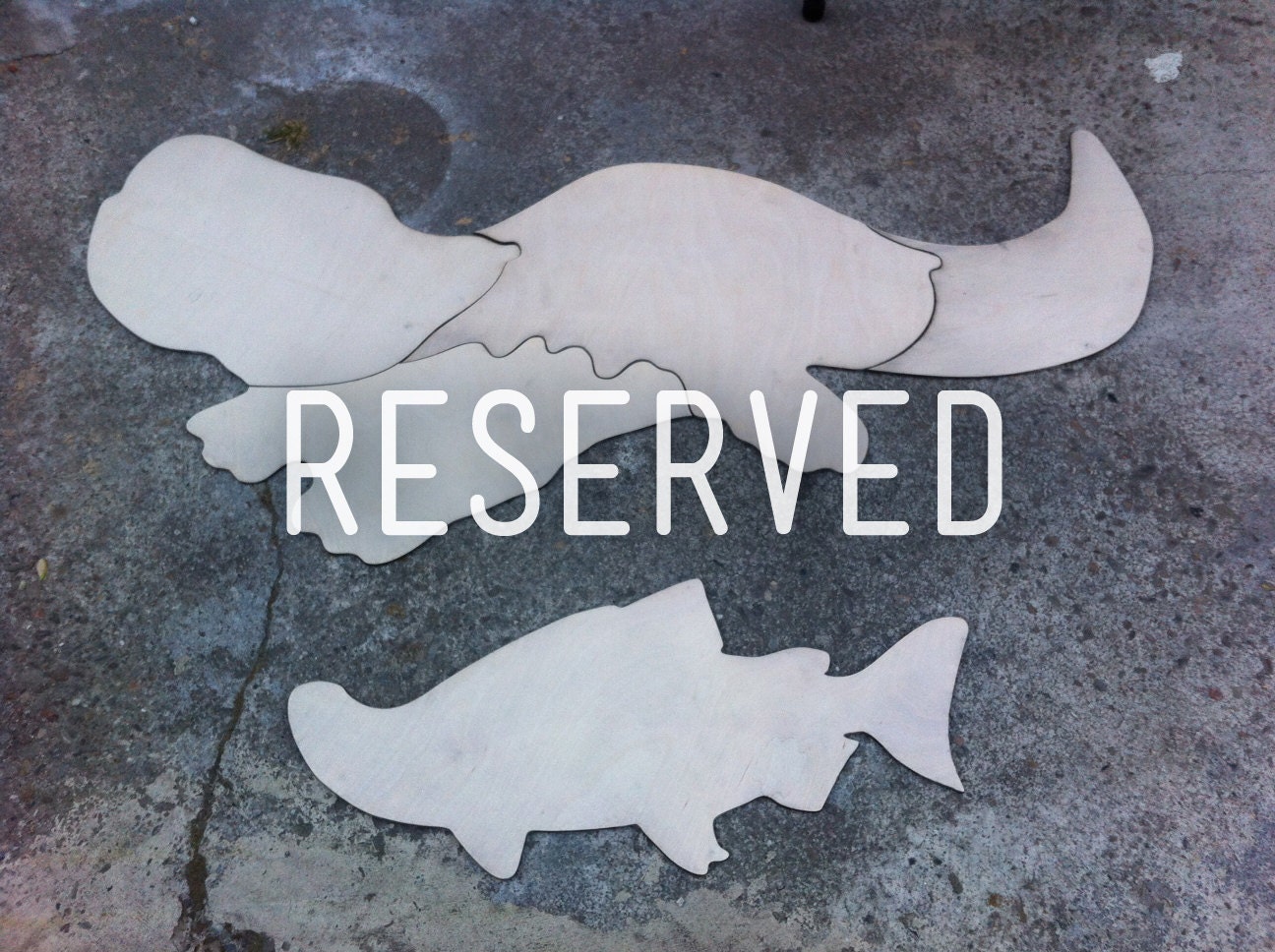 FOR ANDREW - Custom Laser Cut Giant Salamander and Salmon