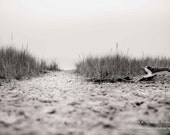 Beach Photo. Beach Photography. Landscape Photography. Black and White. Sheboygan. Wisconsin. Lake Michigan. Fine Art Landscape Photography