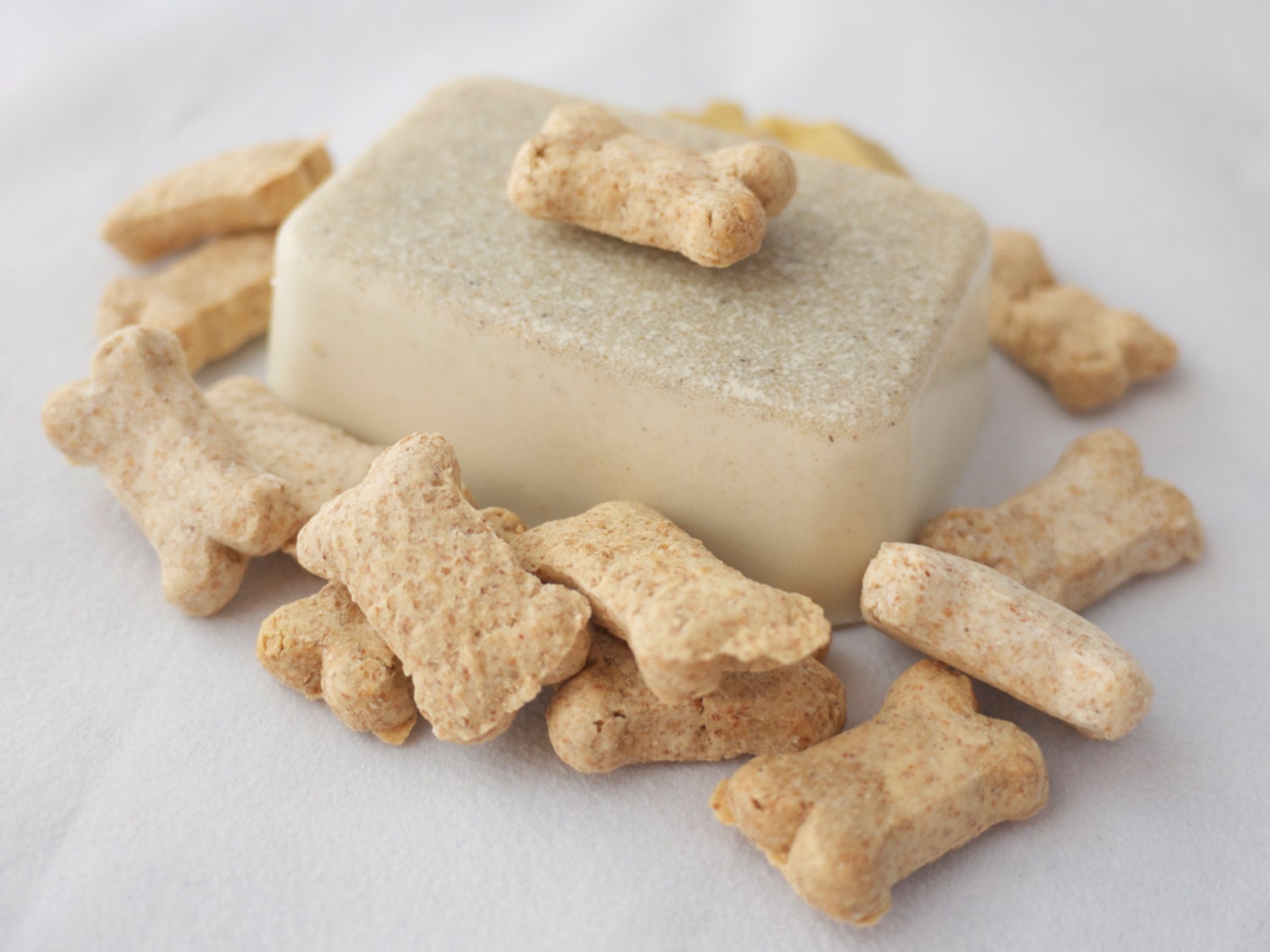 Fido's Favorite Dog Shampoo Bar