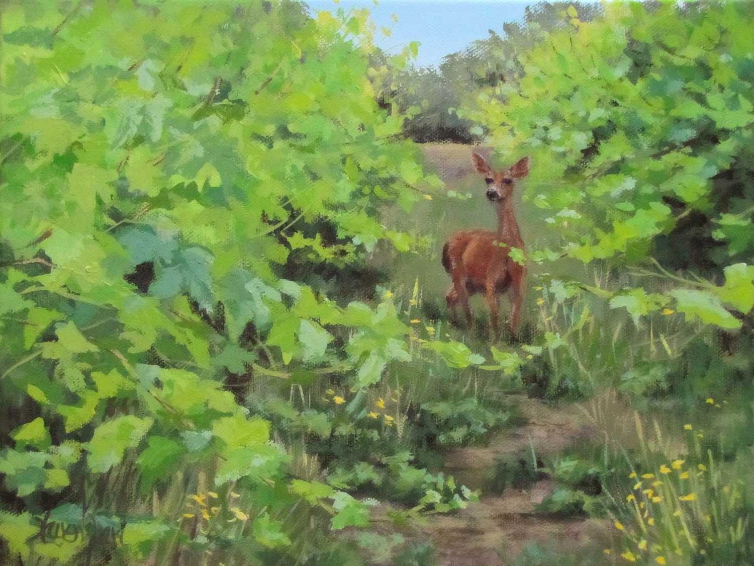 Original Wildlife painting "The Visitor"