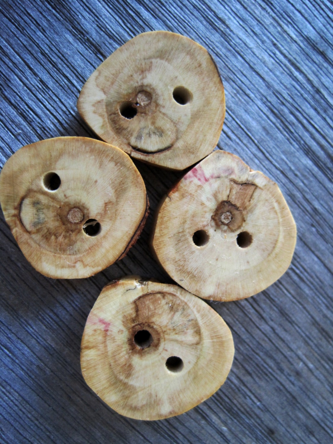 Oak Leaf Hydrangea Tree Branch Wooden Buttons. Knitting Supplies - set of 4 wood buttons