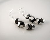 Sterling Silver Earrings - Meteorite Jewelry