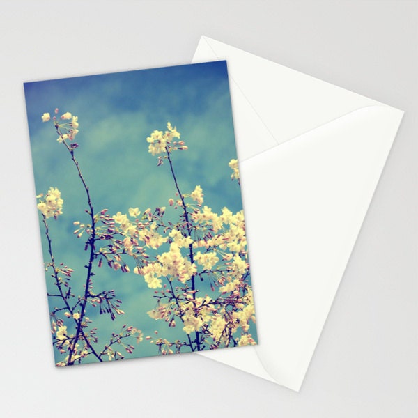 Fine Art Photography 5x7 Folded Cards Set of 3 Pink Blossoms Flower Tree Spring "Blossoms on the Blue Sky"